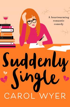 Cover of the book Suddenly Single by Jody Sabral