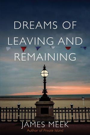 Book cover of Dreams of Leaving and Remaining