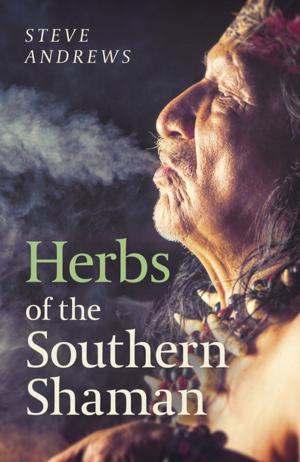 Cover of the book Herbs of the Southern Shaman by N. Lombardi Jr.