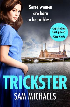 Cover of the book Trickster by Sarah Simpson
