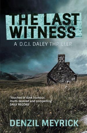 Cover of the book The Last Witness by Lesley Thomson