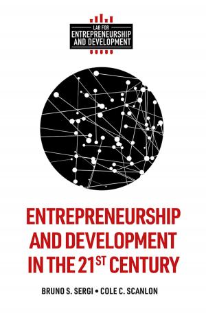 Cover of the book Entrepreneurship and Development in the 21st Century by Professor Paul Fudulu