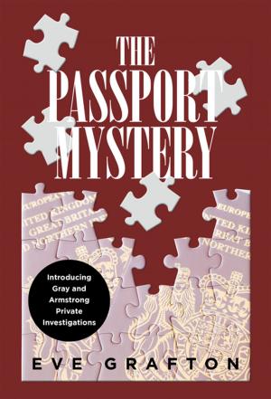 Cover of the book The Passport Mystery by Uma Srinivasan