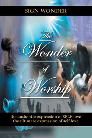 Cover of the book Wonder of Worship by Sallie Pisani