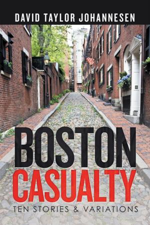 Cover of the book Boston Casualty by Gary T. Brideau