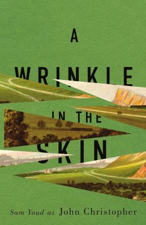 Cover of A Wrinkle in the Skin