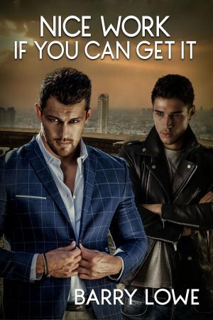 Cover of the book Nice Work If You Can Get It by Midrena Scott