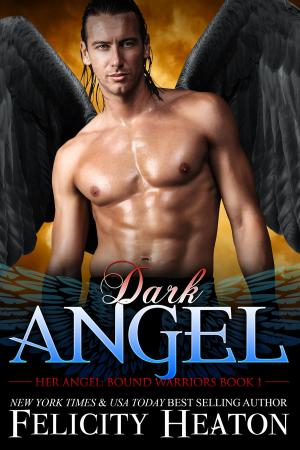 Cover of Dark Angel (Her Angel: Bound Warriors paranormal romance series Book 1)