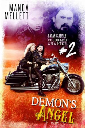 Cover of the book Demon's Angel by Karen Cogan