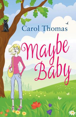 Cover of the book Maybe Baby by Sylvia Pierce
