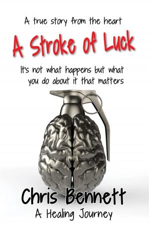 Cover of the book A Stroke of Luck by Glenn Armstrong