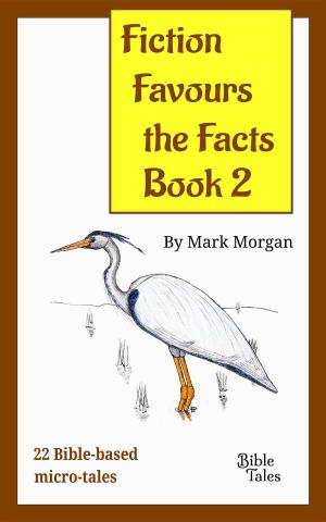 Book cover of Fiction Favours the Facts - Book 2