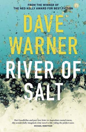 Cover of the book River of Salt by Jacqueline Wright