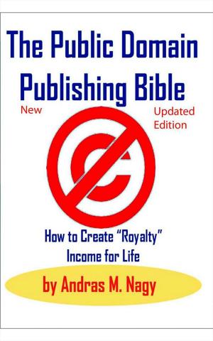 Cover of the book The Public Domain Publishing Bible by PCuSER研究室