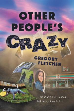 bigCover of the book Other People's Crazy by 