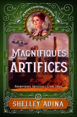 Cover of the book Magnifiques artifices by Troon Harrison