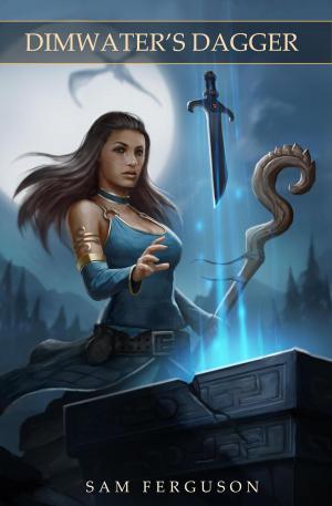 Cover of the book Dimwater's Dagger by Matthew Stone