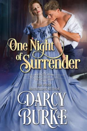 Cover of the book One Night of Surrender by Elizabeth Lee Sorrell