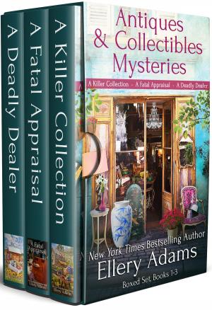 Cover of the book The Antiques & Collectibles Mysteries Boxed Set by N. J. Walters