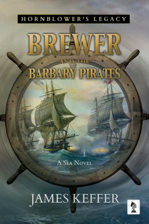 Cover of the book Brewer and The Barbary Pirates by James Boschert