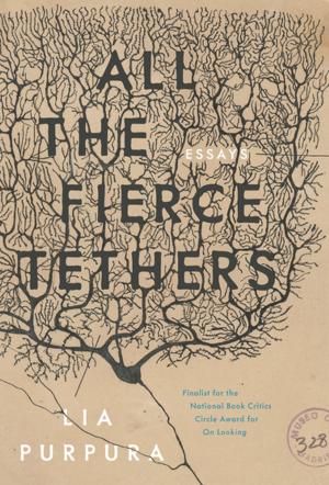 Cover of the book All the Fierce Tethers by Brian Leung