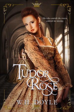 Cover of the book Tudor Rose by Jennifer Jenkins