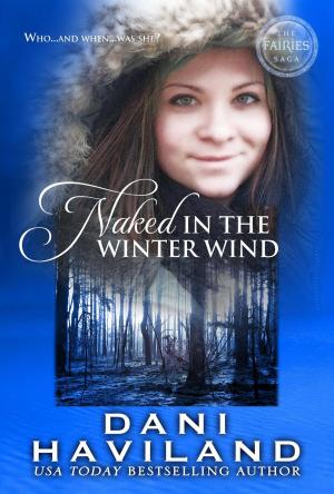 Cover of the book Naked in the Winter Wind by P.J. Post