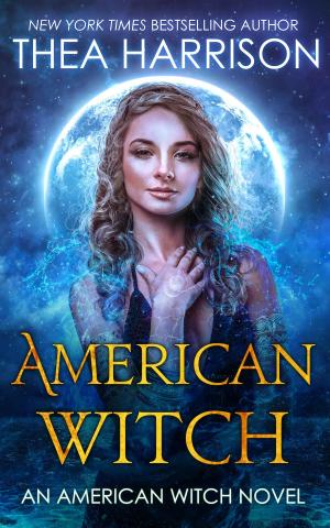 Cover of the book American Witch by JD Stockholm