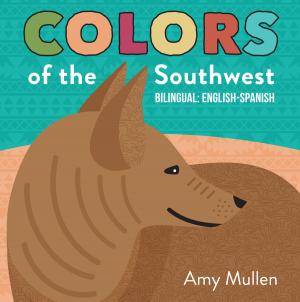 Cover of the book Colors of the Southwest by Beatriz Juarez, Kenneth J. Franklin, punchline