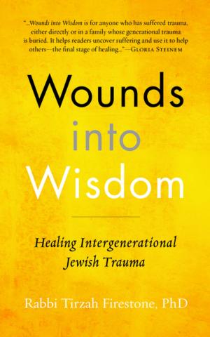 Cover of the book Wounds into Wisdom by Mirabai Starr