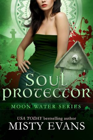 Cover of the book Soul Protector by Neil Jomunsi