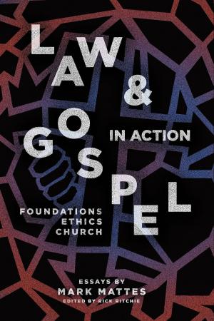 Cover of the book Law & Gospel in Action by Kayode Crown