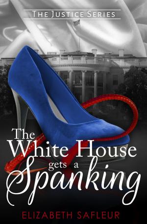 Book cover of The White House Gets A Spanking