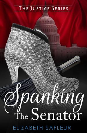 Book cover of Spanking the Senator