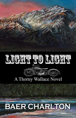 Book cover of Light to Light