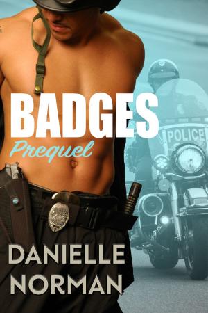 Cover of the book Badges Prequel by Dawn Martens, Emily Minton