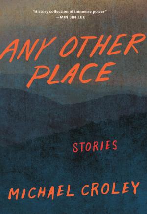 Cover of the book Any Other Place by April Grey