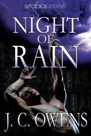 Cover of the book Night of Rain by Rhonda Laurel