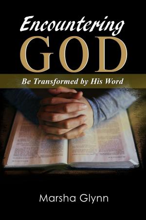 Cover of the book Encountering God by Tom Rudloff