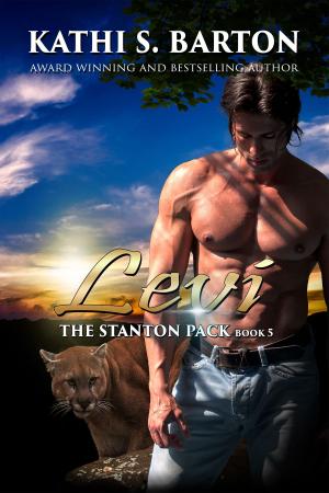 Cover of the book Levi by Kathi S Barton