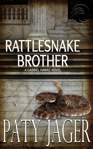 Cover of the book Rattlesnake Brother by Jamie Brazil