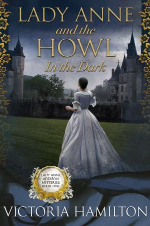 Cover of the book Lady Anne and the Howl in the Dark by Gail Oust