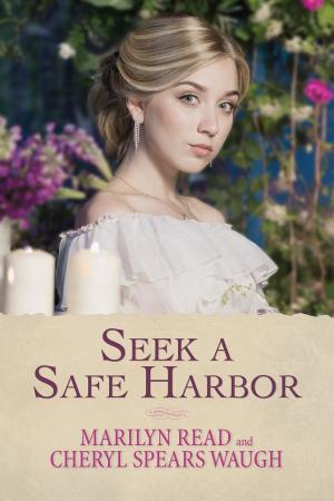 Cover of the book Seek a Safe Harbor by Evans Bissonette