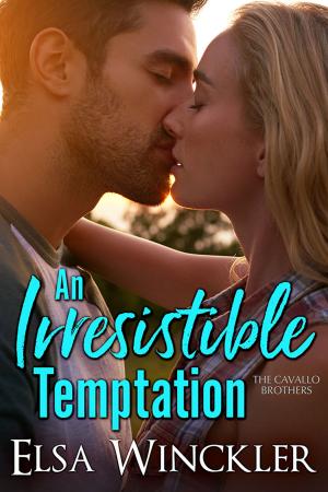 Book cover of An Irresistible Temptation
