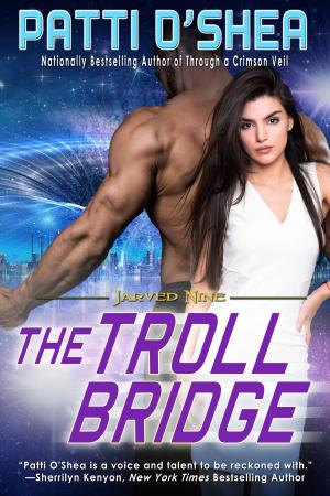 Cover of the book The Troll Bridge by Weldon Burge