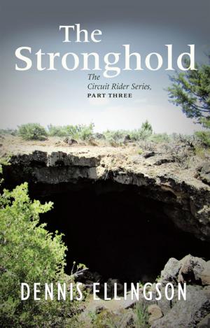 Cover of the book The Stronghold by David J. Landegent