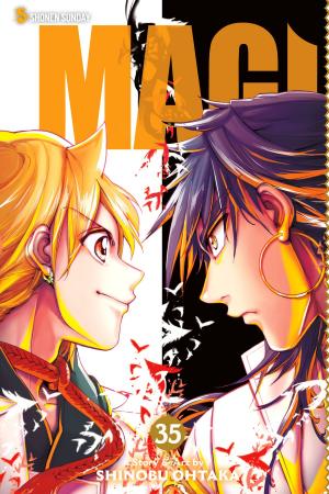 bigCover of the book Magi: The Labyrinth of Magic, Vol. 35 by 