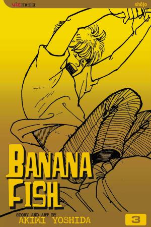 Book cover of Banana Fish, Vol. 3