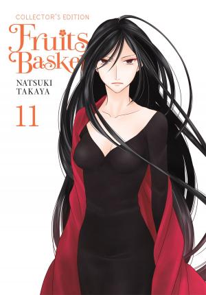 Book cover of Fruits Basket Collector's Edition, Vol. 11