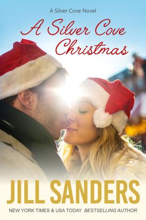 Cover of the book A Silver Cove Christmas by Tracey Alvarez